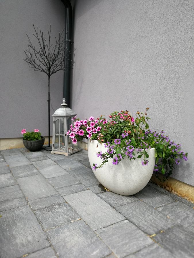 Zsinko Villa Pecs Luaran gambar